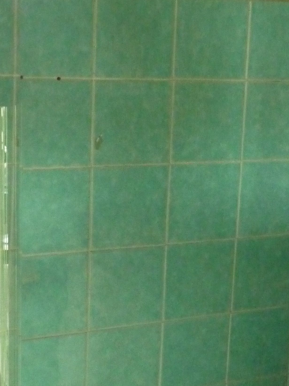Comment utiliser le vinaigre blanc dans sa salle de bain et sa ...