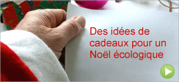 consommer-durable_noel