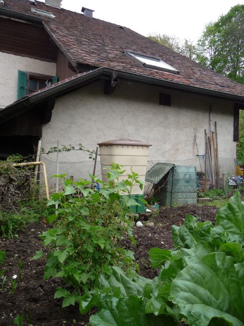 La Récupération Deau De Pluie Pour Arroser Le Jardin à L