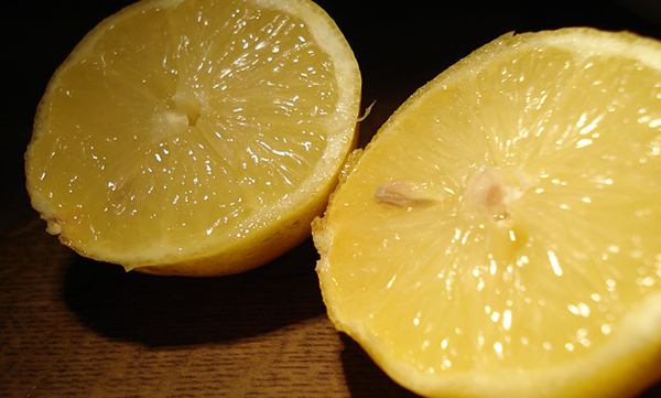 rondelle-citron-fruit-eau-01