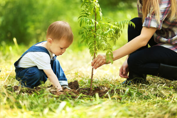 Placement - Protégez la forêt française avec EcoTree, la start-up qui récompense la conscience écologique Planter-arbres_shutterstock_454257886