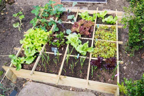 Nos Idees Pratiques Pour Creer Un Potager Dans Un Petit Jardin Consommer Durable